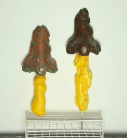 40, skulptur af Toke Warming